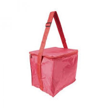 BOLSA TÉRMICA 24 LT POLIÉSTER   (P77)