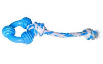 BRINQUEDO CAES ANEL MACICO BORRACHA ESPECIAL C/ CORDA N1 - P - AZUL